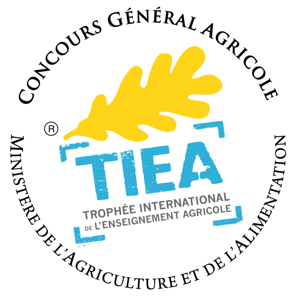 Logo du TIEA